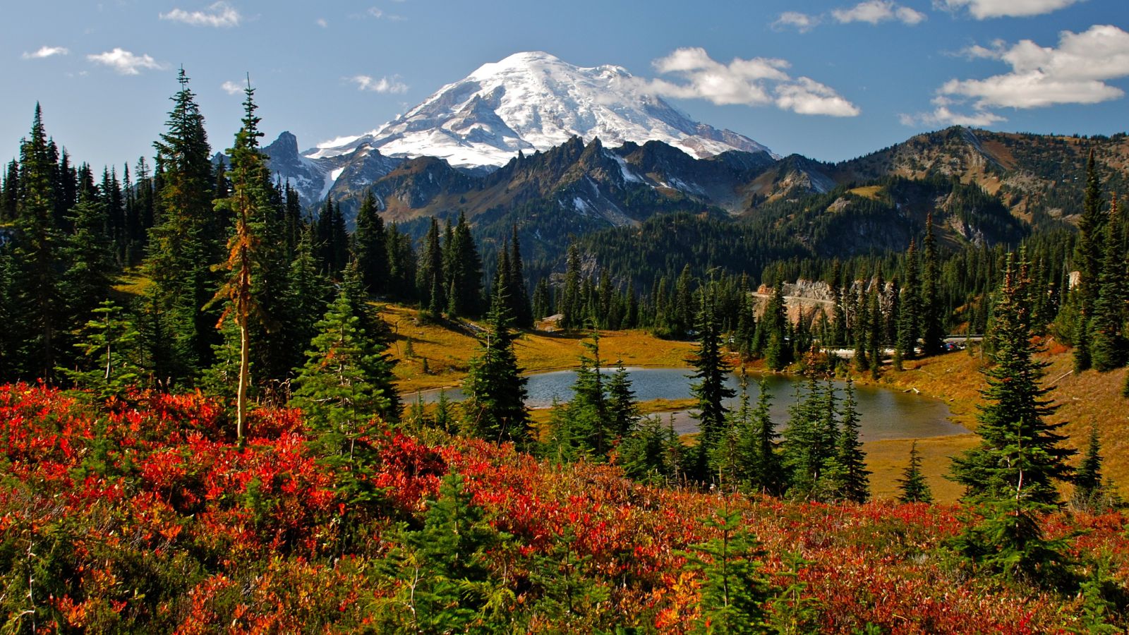 <p>A place for a great hike, along with incredible volcanic views, is Mt. Rainier National Park. This is supported by <a href="https://www.bemytravelmuse.com/best-places-in-usa-for-solo-travel/">Be My Travel Muse</a>, which writes, “It’s such a prominent volcano, you can see it from most major freeways and suburbs of Seattle.” If you enjoy your alone time, then it’s the best place to head.</p>