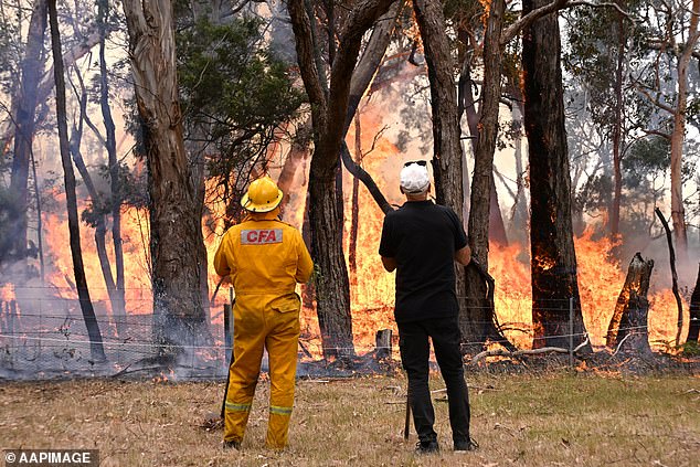 victorian bushfires: three homes lost, more under threat as 500 firefighters battle large blaze near ballarat