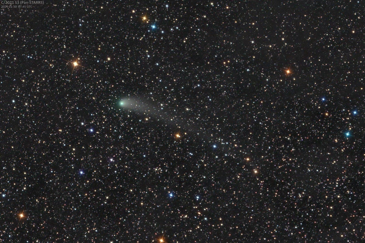 a mystery comet with a missing tail is passing earth and scientists want your help