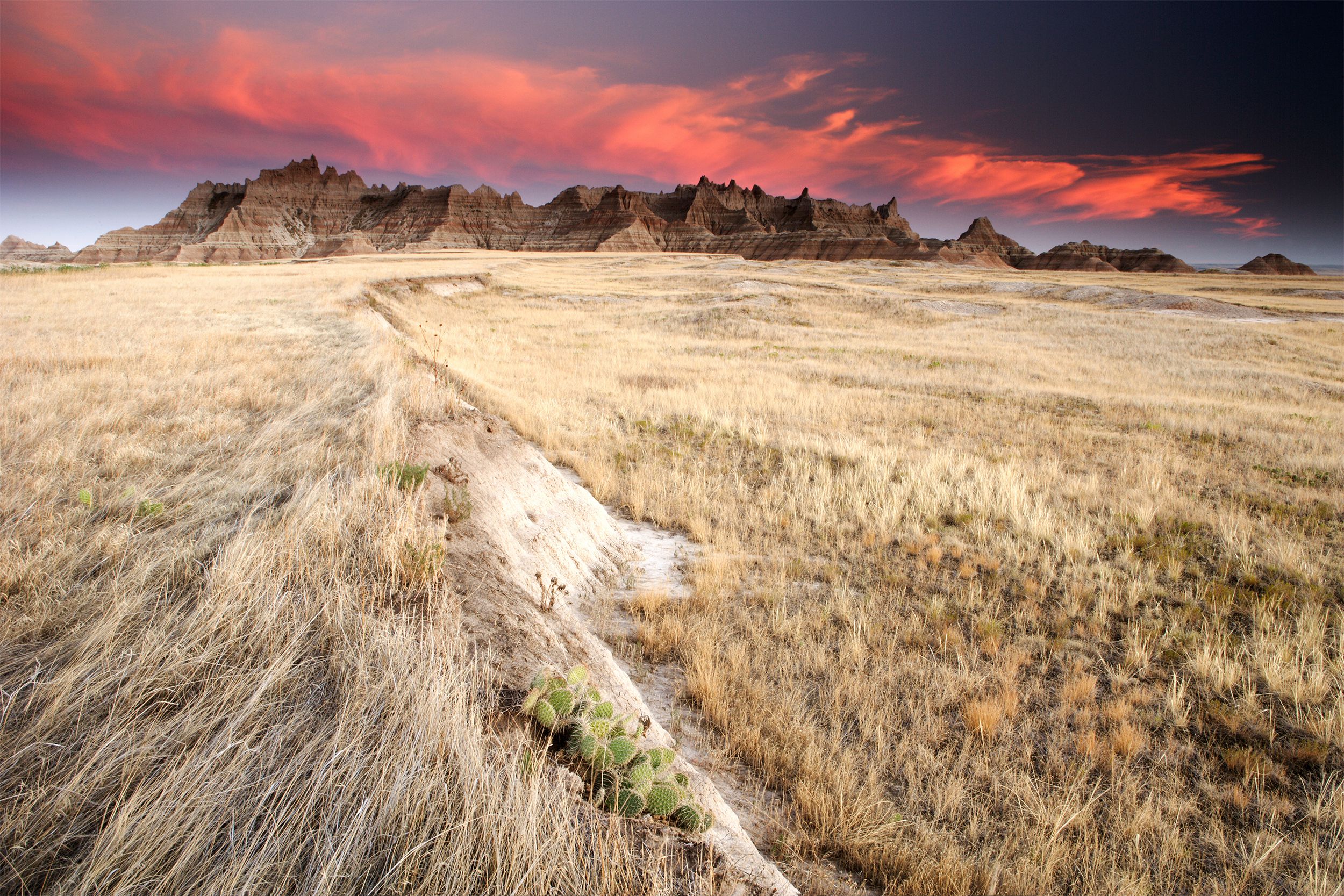 <p>A place that contains some of the world's richest fossil beds, <a href="https://www.nps.gov/badl/index.htm">Badlands National Park</a> is known for its 244,000 acres of rugged and colorful beauty dominated by mixed-grass prairies. Long ago, saber-toothed cats roamed here; today it's home to bison and bighorn sheep. </p><p><b>Related:</b> <a href="https://blog.cheapism.com/vintage-national-park-photos/">Historic National Park Photos for Vintage Views</a></p>
