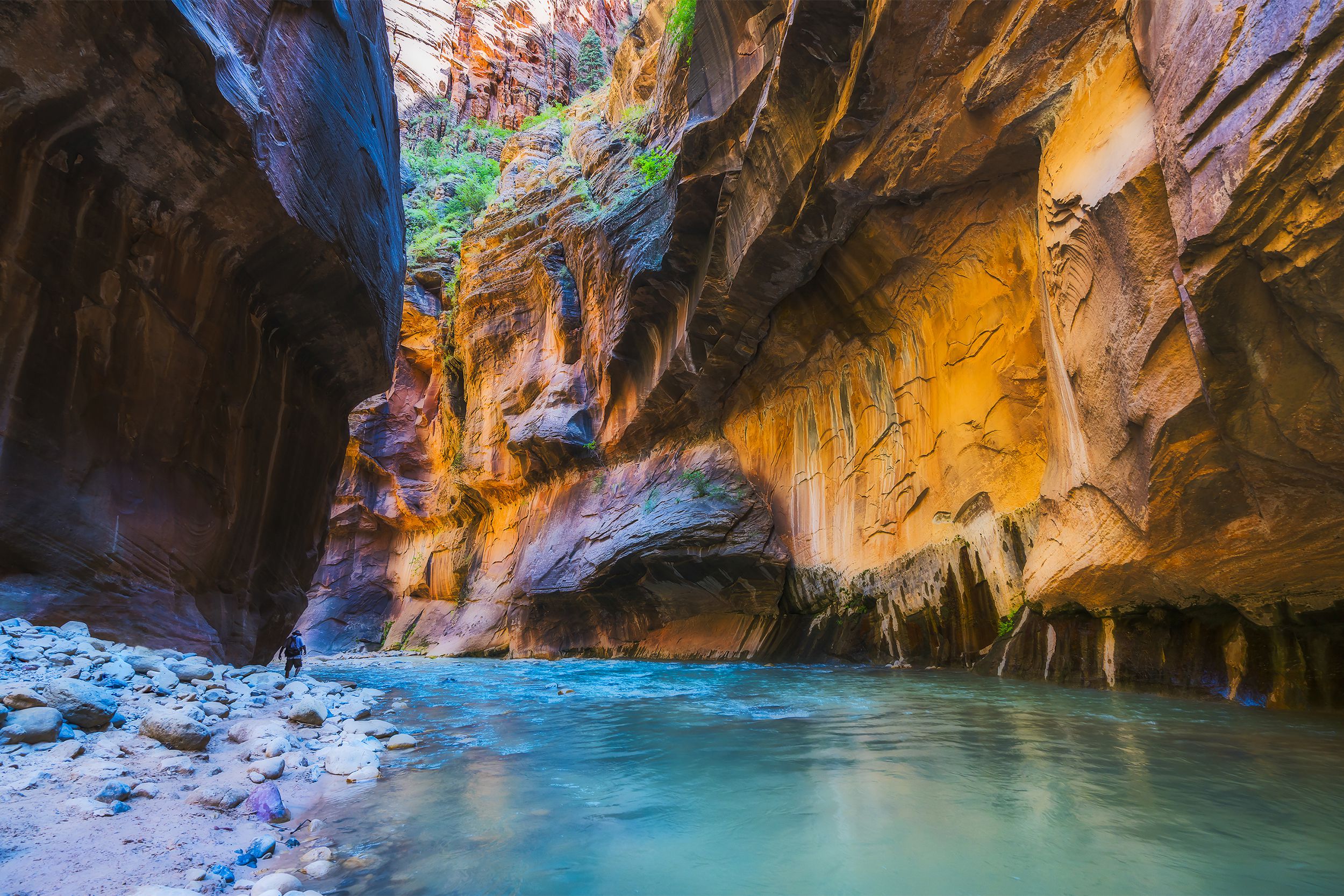 <p>The first national park to be created in Utah, <a href="https://www.nps.gov/zion/index.htm">Zion</a> has massive sandstone cliffs, narrow slot canyons, and a diversity of plants and animals. </p><div class="rich-text"><p>This article was originally published on <a href="https://blog.cheapism.com/national-parks-photos/">Cheapism</a></p></div>