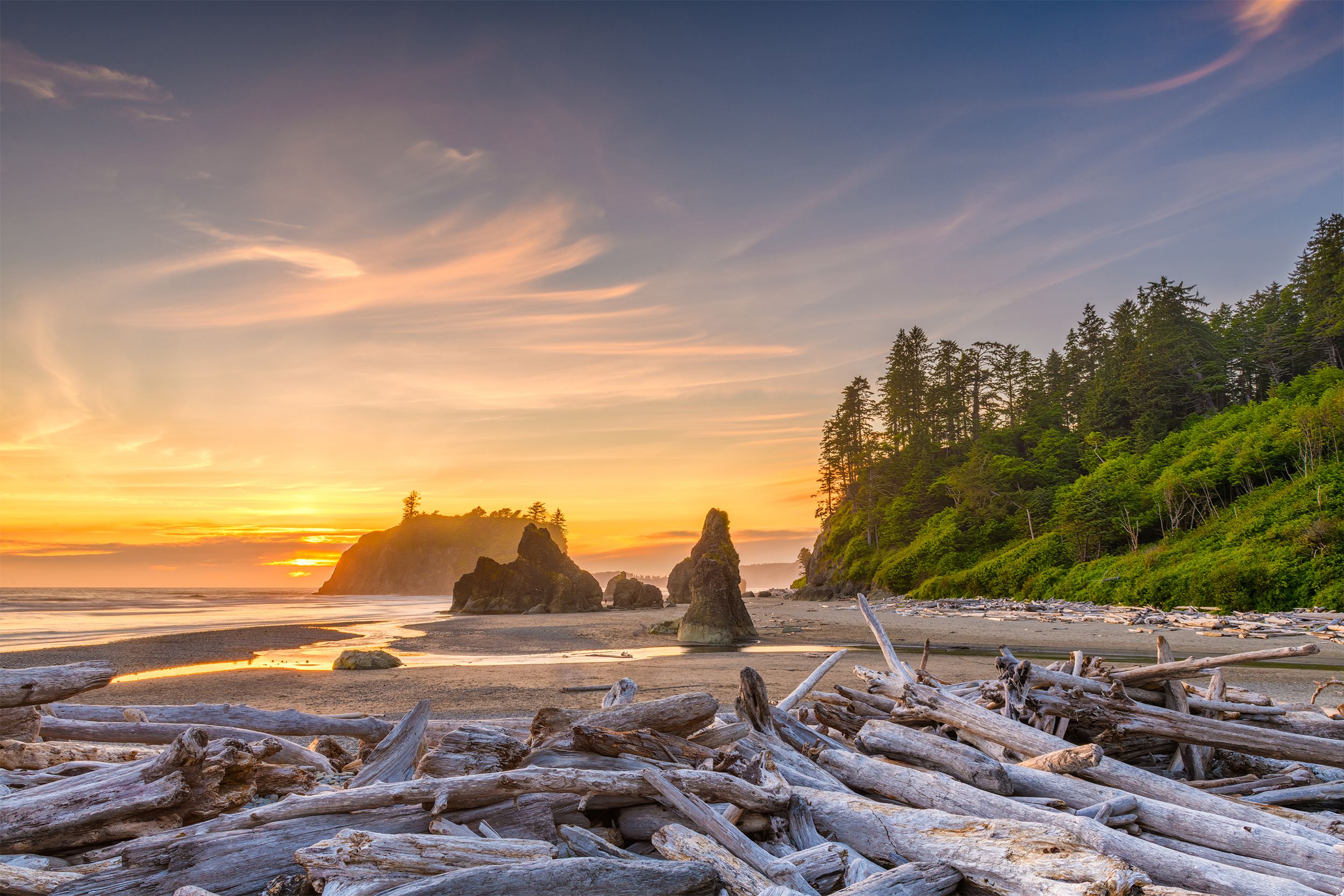 <p>Spread among its nearly 1 million acres are several distinct ecosystems to explore at <a href="https://www.nps.gov/olym/index.htm">Olympic National Park</a>. The stunning variety includes glacier-capped mountains, old-growth rainforest, and in excess of 70 miles of coast. </p>