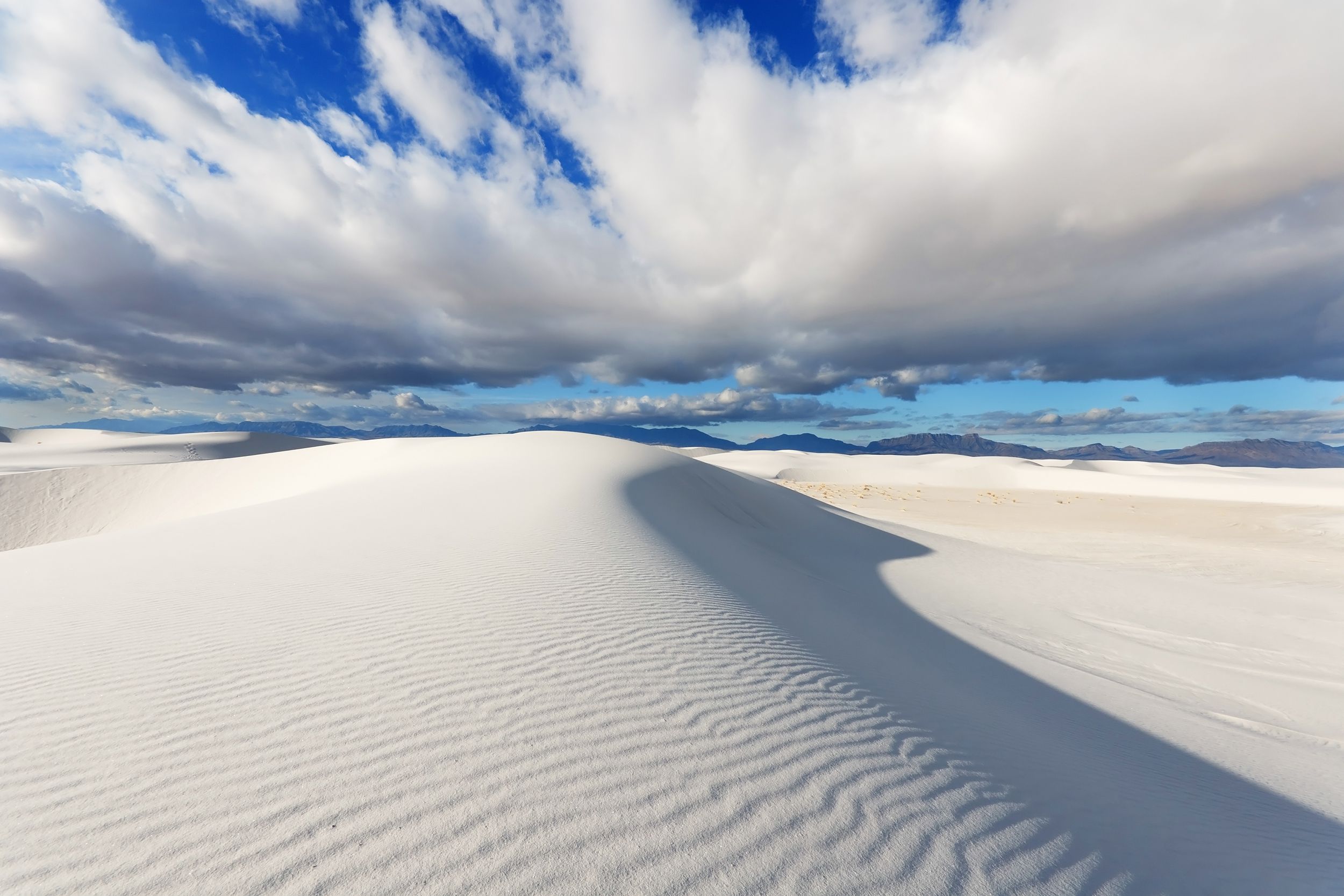 <p>One of the most recent additions to our national park system, <a href="https://www.nps.gov/whsa/index.htm">White Sands National Park</a> is made up of 275 square miles of blindingly white gypsum sand dunes. The largest gypsum dunefield on the planet, this park is also home to many plants and animals that have adapted to survive in such a harsh environment.</p>