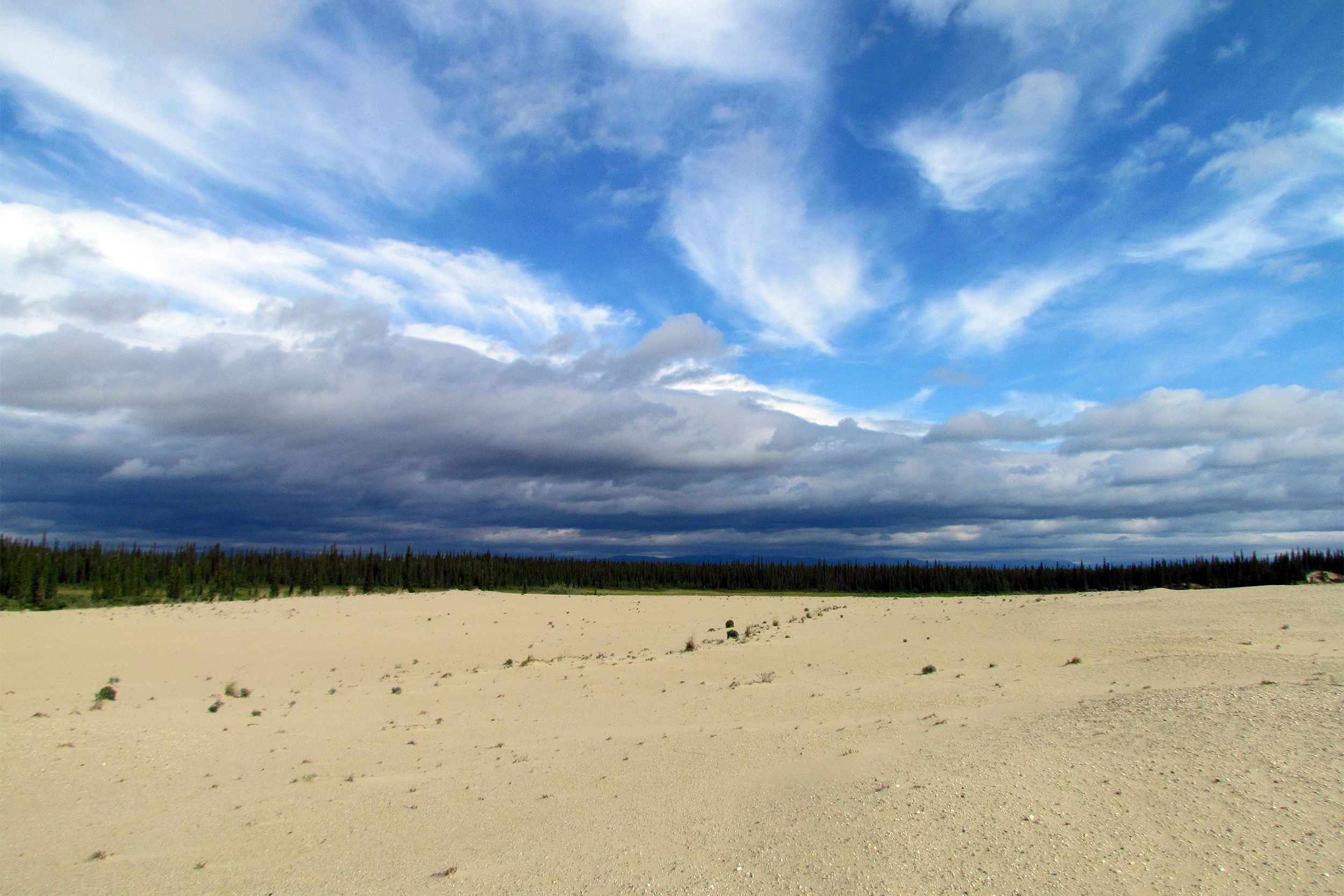Twice a year, nearly a half-million caribou pass through the Great Kobuk region. <a href="https://www.nps.gov/kova/index.htm">Kobuk Valley National Park</a> includes the Kobuk River, the Great Kobuk Sand Dunes, and the Little Kobuk and Hunt River dunes.