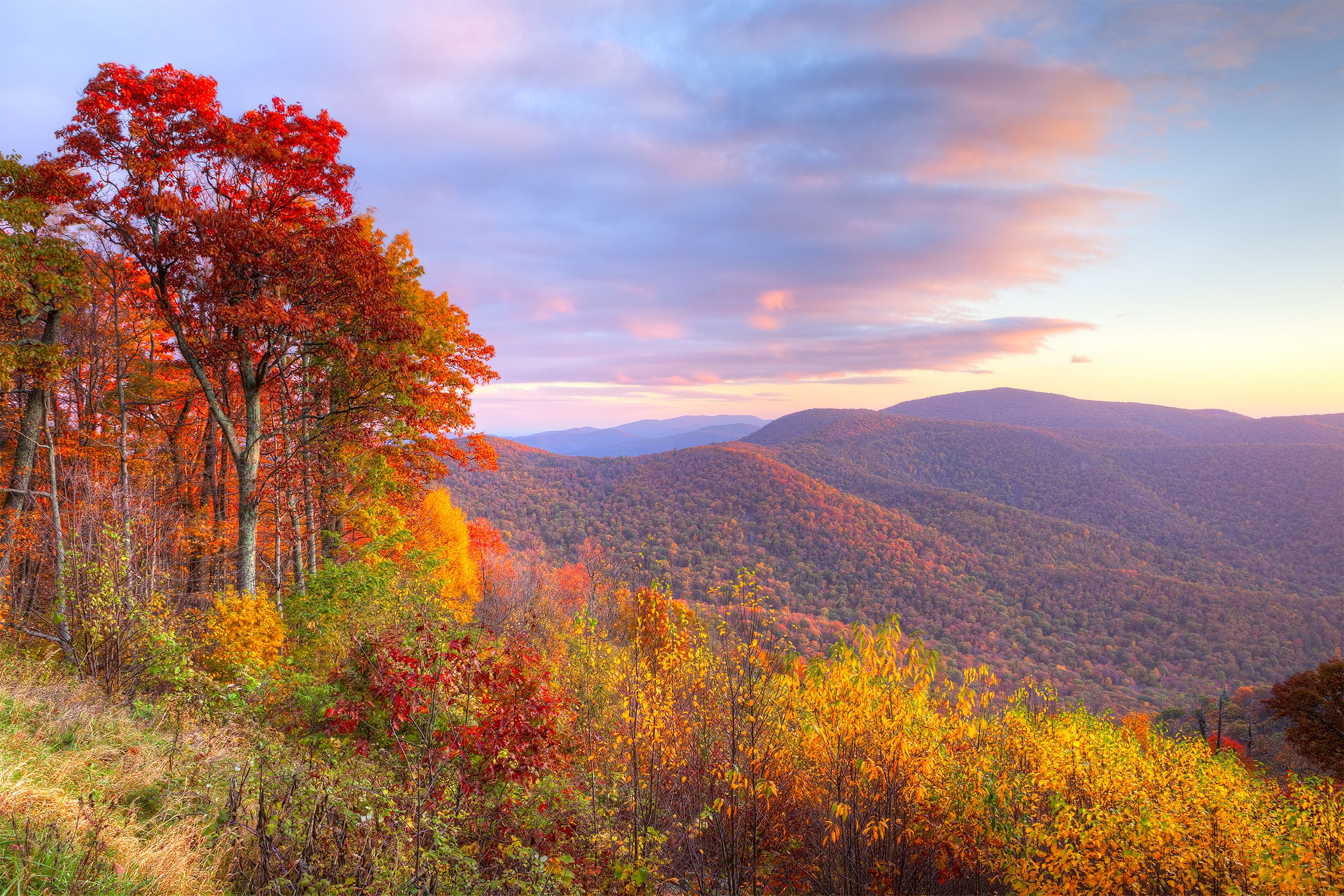 <p>Less than 100 miles from the nation's capital, nature lovers will find <a href="https://www.nps.gov/shen/index.htm">200,000 acres of protected land</a> that features waterfalls, expansive vistas, and peaceful woodlands. Its famed Skyline Drive, punctuated by panoramic views from overlooks, runs 105 miles. The park's expansive and uninterrupted swath of nature is also a haven for deer and home to everything from bears to songbirds. </p>