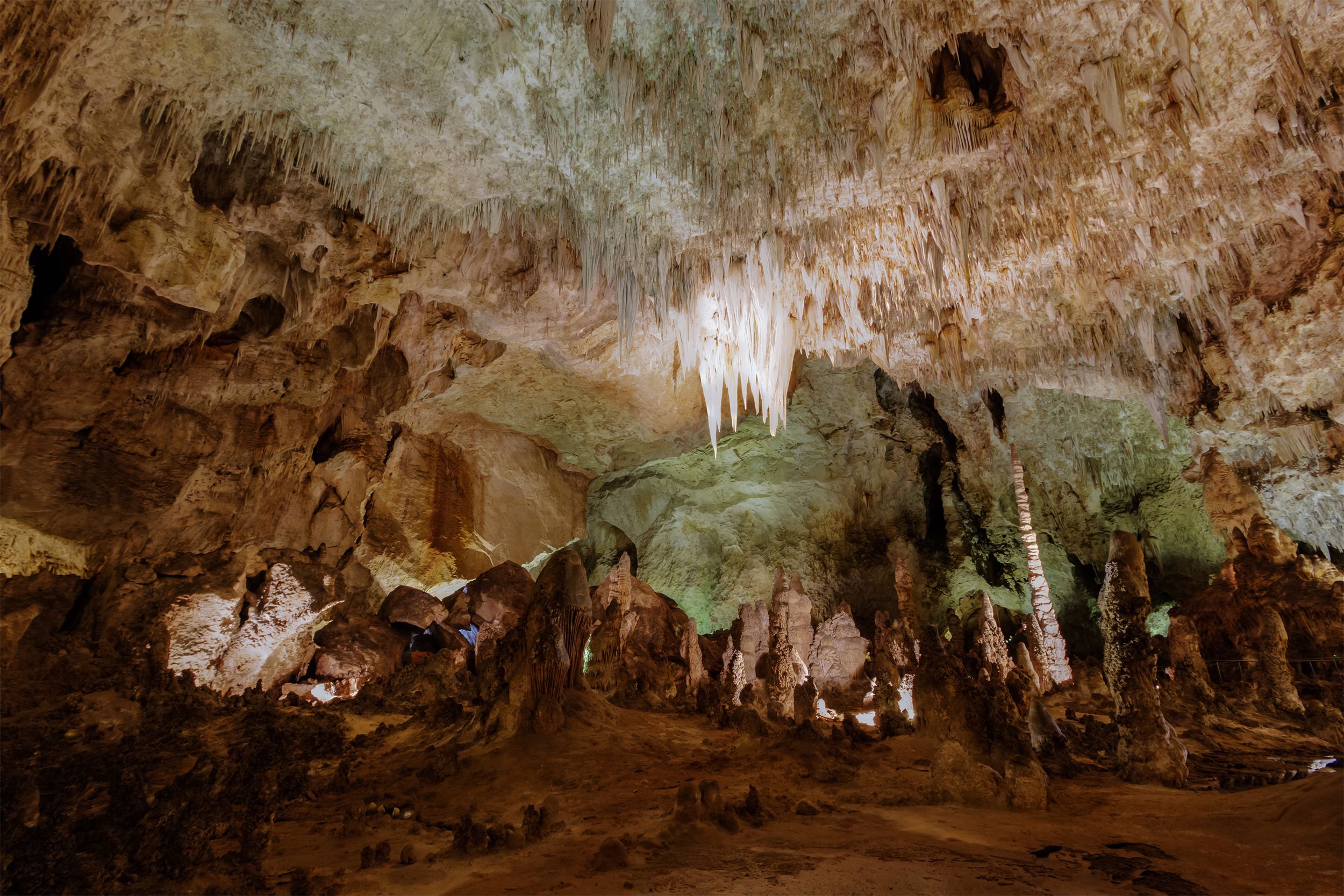 <p>Perhaps most famous for its 119 caves filled with stalagmites and stalactites, <a href="https://www.nps.gov/cave/index.htm">Carlsbad Caverns</a> is also home to an abundance of above-ground treasures in the Chihuahuan Desert including high ancient sea ledges, deep rocky canyons, flowering cactus, and desert wildlife. </p>