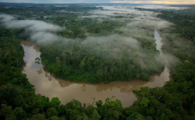 Río Tiputini, en el Parque Nacional Yasuní de Ecuador, uno de los lugares donde se halla la anaconda verde del norte. Foto: LA NACIÓN/ GDA/ National Geographic