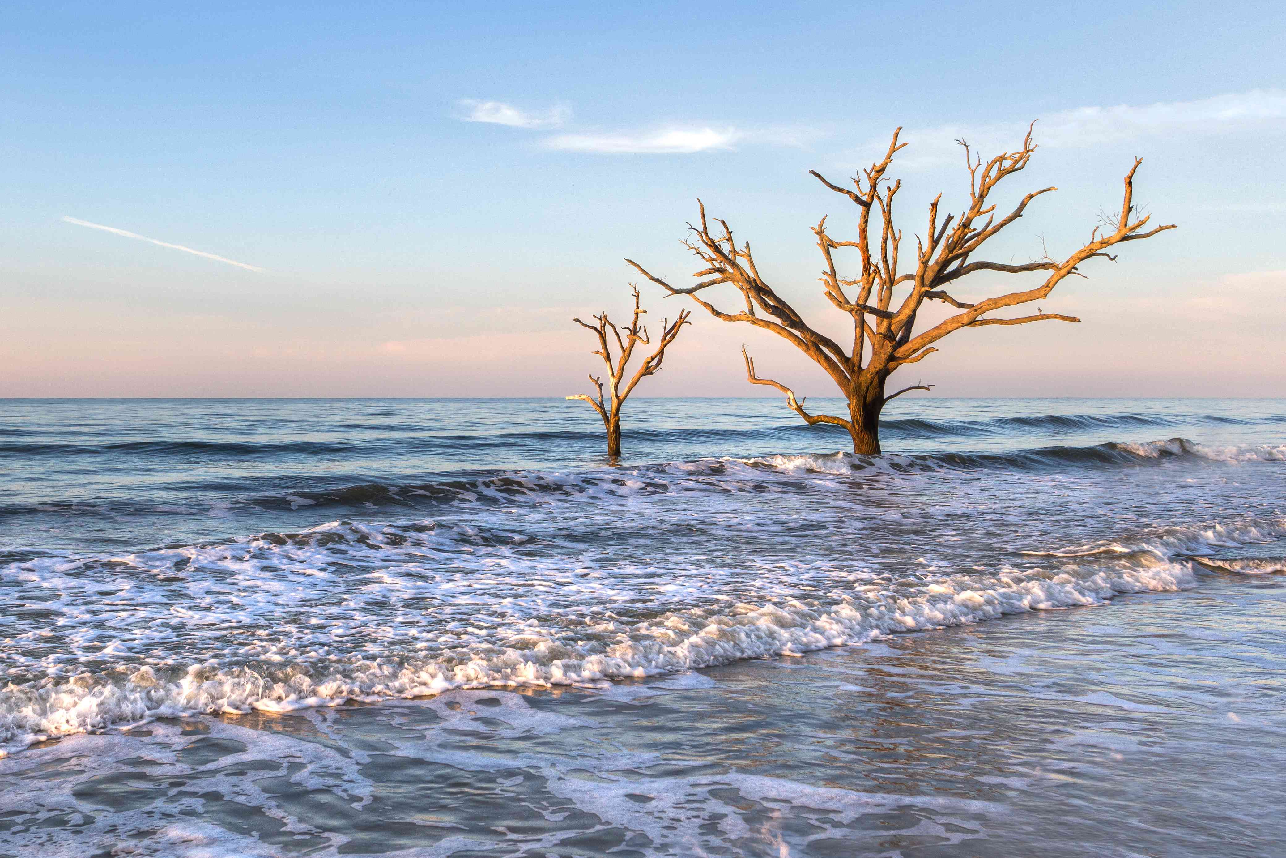 The 15 Best Things To Do On Edisto Island, South Carolina