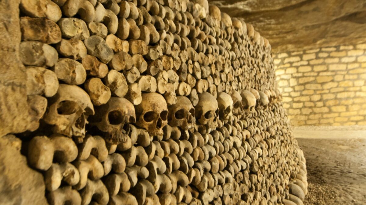 <p>The Catacombs in Paris are among the most shocking and amazing things I’ve ever seen. Over 6 million Parisian bones can be seen in the catacombs, and you can see these bones up close and personal. </p><p>You get to wander deep under Paris and see this massive graveyard that was started in the 18th century. Back then, there was an excess of dead bodies that were stinking up Paris. So they took the bodies underground to an abandoned quarry, which was‌ back then outside of the main city of Paris.</p><p>The Catacombs are open for visitors and cannot be missed when visiting Paris. There are art pieces made of bones that are incredible to look at but definitely give you an uneasy feeling. </p><p>There are also secret underground entrances that stretch for hundreds of miles that only the locals know about. You can visit these secret entrances if you are feeling really brave. However, many people have gotten lost in the maze of bones and were never seen again.</p>
