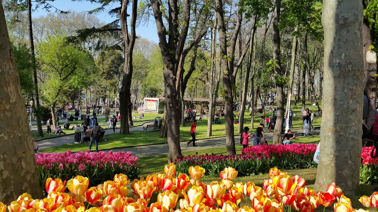<p>Located on the grounds of Topkapi Palace, Gülhane Park is known as the “Park of Roses.” Thanks to its location, this park is en route to many other important landmarks, such as the Sultanahmet mosque, which makes it perfect for a stop on your walking tour! </p>