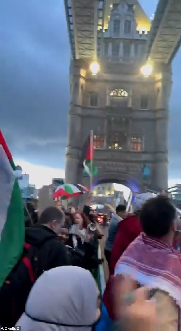 pro-palestine protesters shut down tower bridge: activists let off flares and disrupt traffic as iconic london landmark is closed