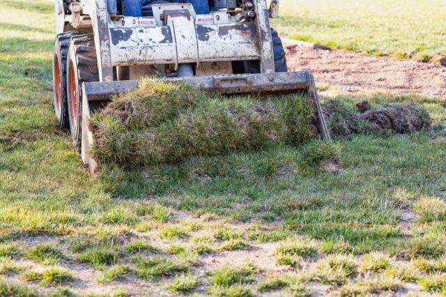 state seeks millions in funding to continue paying residents to ditch grass lawns: ‘find ways to be more efficient’