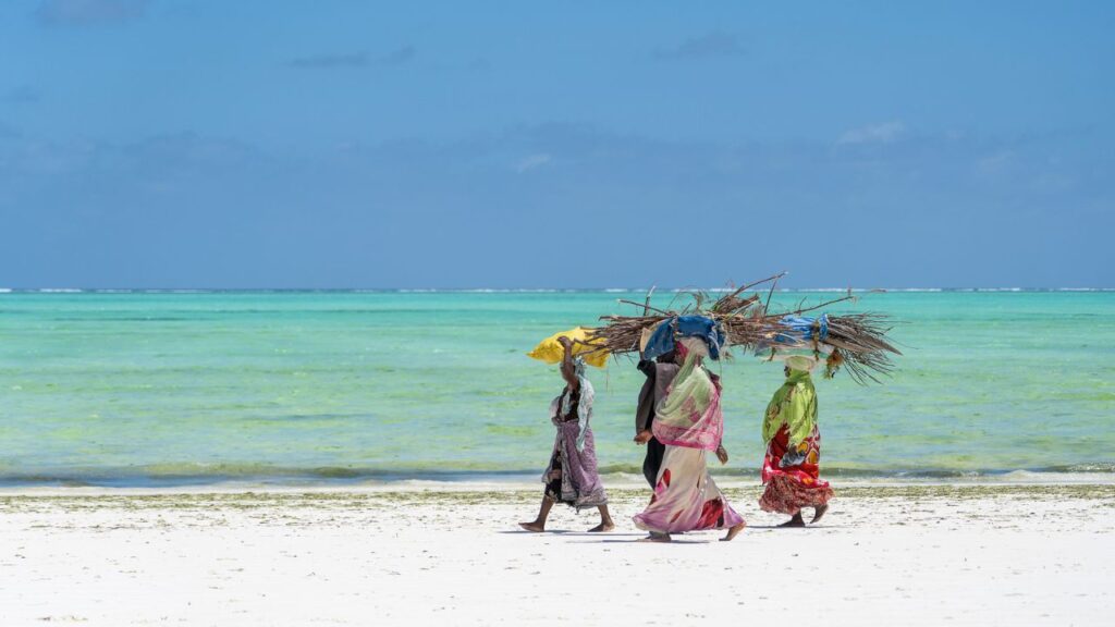 <p><span>With its pristine beaches, UNESCO World Heritage sites, Swahili vibes, and abundant natural wonders, Zanzibar has many amazing things to do </span><span>for all tastes and budgets. </span><span>Whether you're seeking relaxation on sun-kissed shores, immersion in the history of Stone Town's doors, or thrilling adventures in the turquoise waters of the Indian Ocean. From snorkeling to culture, below are the best things Zanzibar has to offer that must be included in your </span><a href="https://anjaonadventure.com/twelve-days-zanzibar-itinerary/"><span>Zanzibar itinerary</span></a><span>. </span></p>