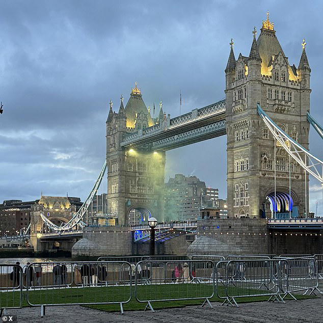 Pro Palestine protesters shut down Tower Bridge Activists let off