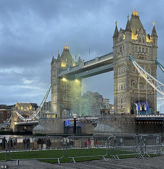 Pro Palestine protesters shut down Tower Bridge Activists let off