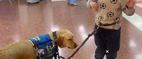 Prohíben a un niño con autismo entrar con su perro a un centro comercial en Valencia