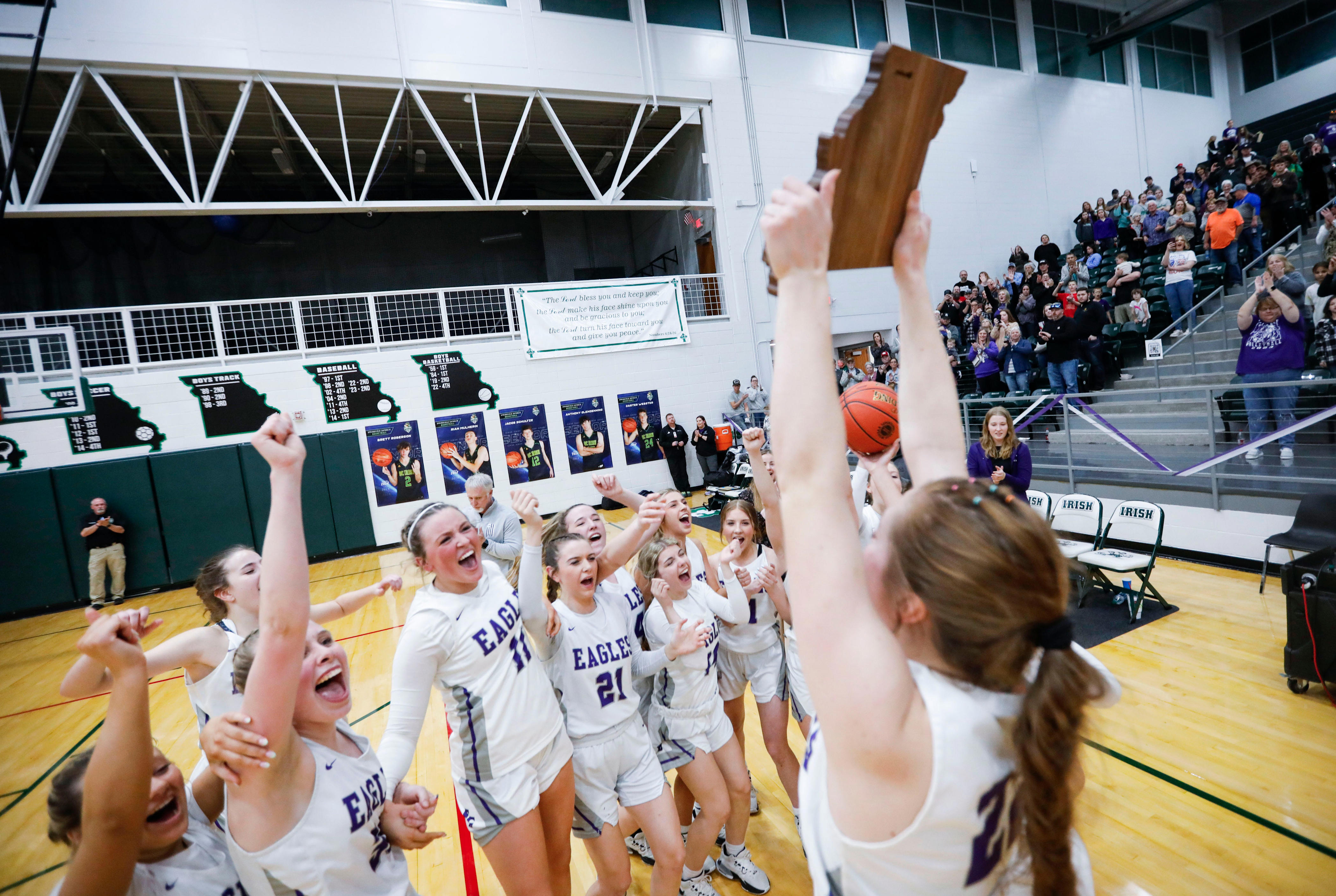 Springfield Area High School Boys' Basketball Classes 1-3 District ...