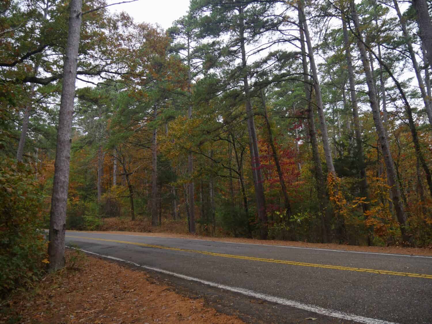 The 10 Most Stunningly Scenic Drives in Arkansas