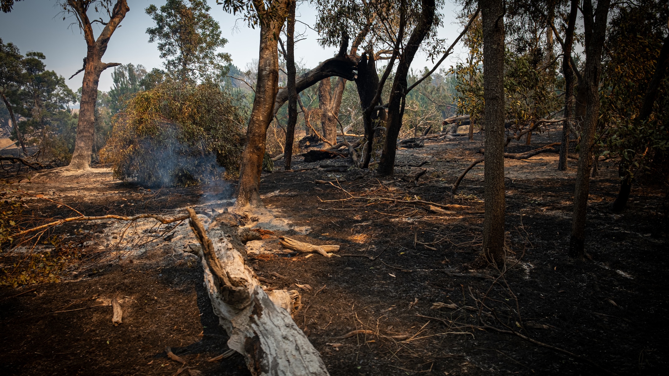 bayindeen bushfire still burning as victoria and south australia swelter through extreme weather