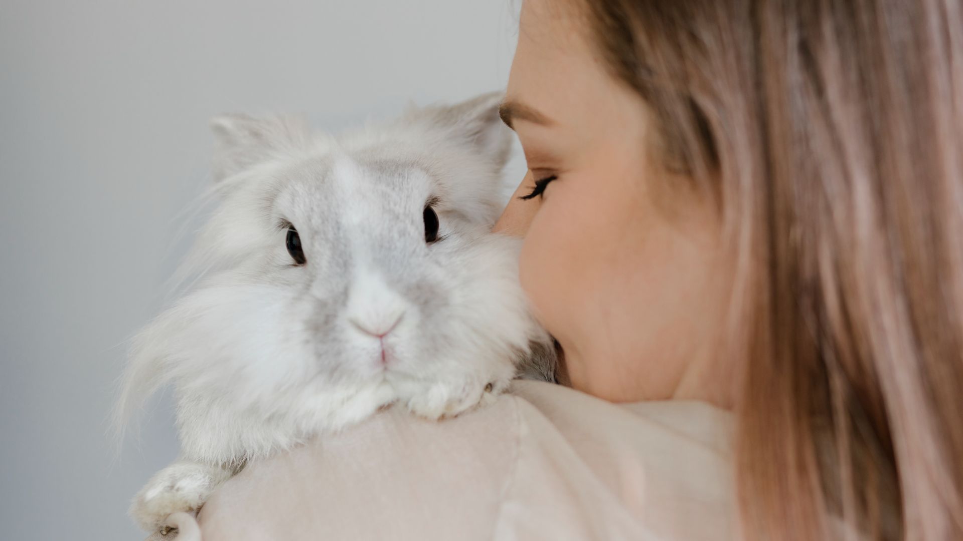 <p>                     Have you ever wondered what baby rabbits are called? Well, baby rabbits are in fact called kittens or kits. Baby rabbits are born blind, deaf, and totally bald, and are totally defenseless. Male rabbits are called bucks and female rabbits are called does.                   </p>