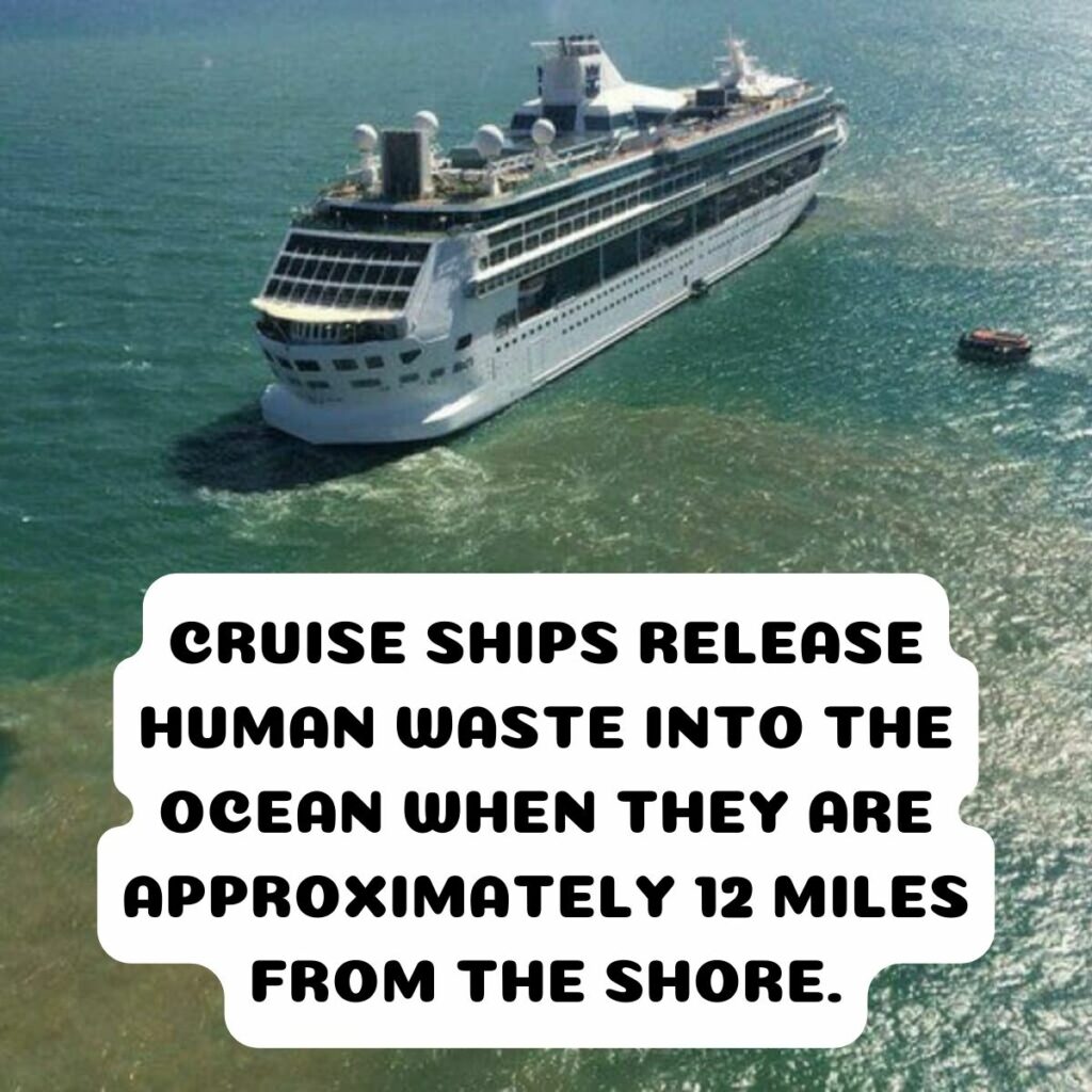 <p>When it comes to waste disposal on cruise ships, it’s often a matter of out of sight, out of mind. These vessels typically release treated human waste into the ocean when they are approximately 12 miles from the shore. Although they are obliged to treat the waste – and often do so – the environmental impact remains a concern. <br>Not all countries have uniform regulations in place, leading to occasional discharge in regions governed by more lenient laws. A recent example involved U.S. cruise ships dumping waste near British Columbia, prompting complaints from Canadian residents about the environmental consequences of these practices.</p>