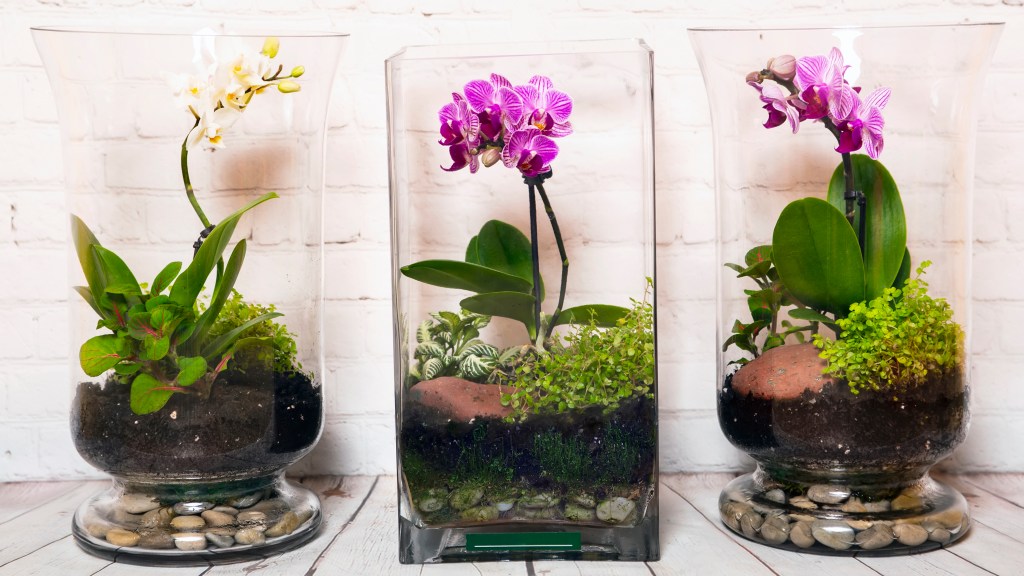 How To Make A Terrarium: Garden Pros Share 5 Easy Ideas + Care Tips