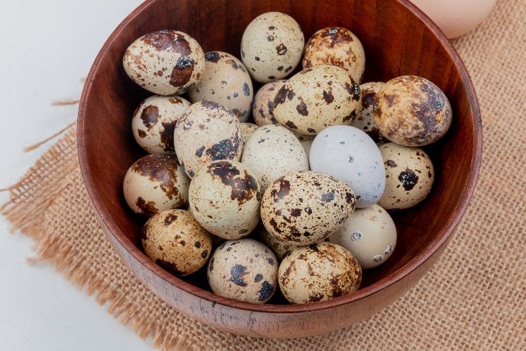mitos atau fakta bahaya makan telur puyuh bagi kesehatan orang dewasa