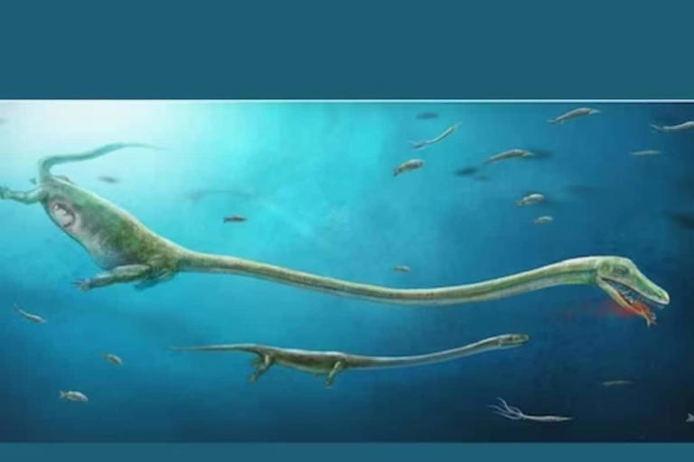 240-million-year-old Fossil Of Dragon-like Creature Found In China