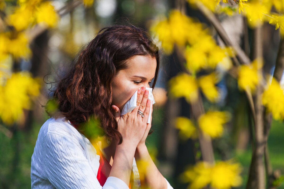 pollens : pourquoi d'ici 2050 la moitié de votre foyer y sera certainement allergique