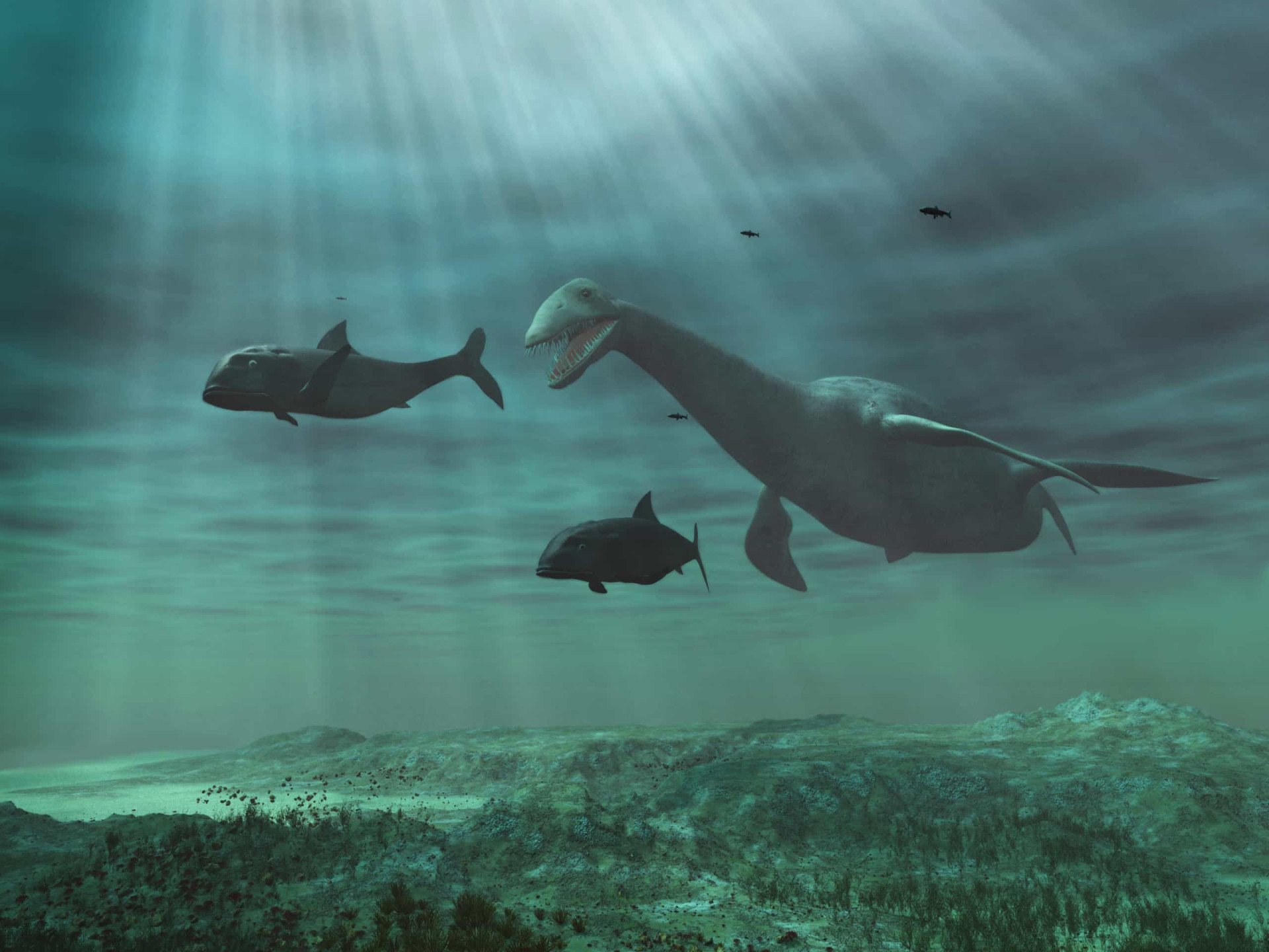 Is the Loch Ness Monster real?