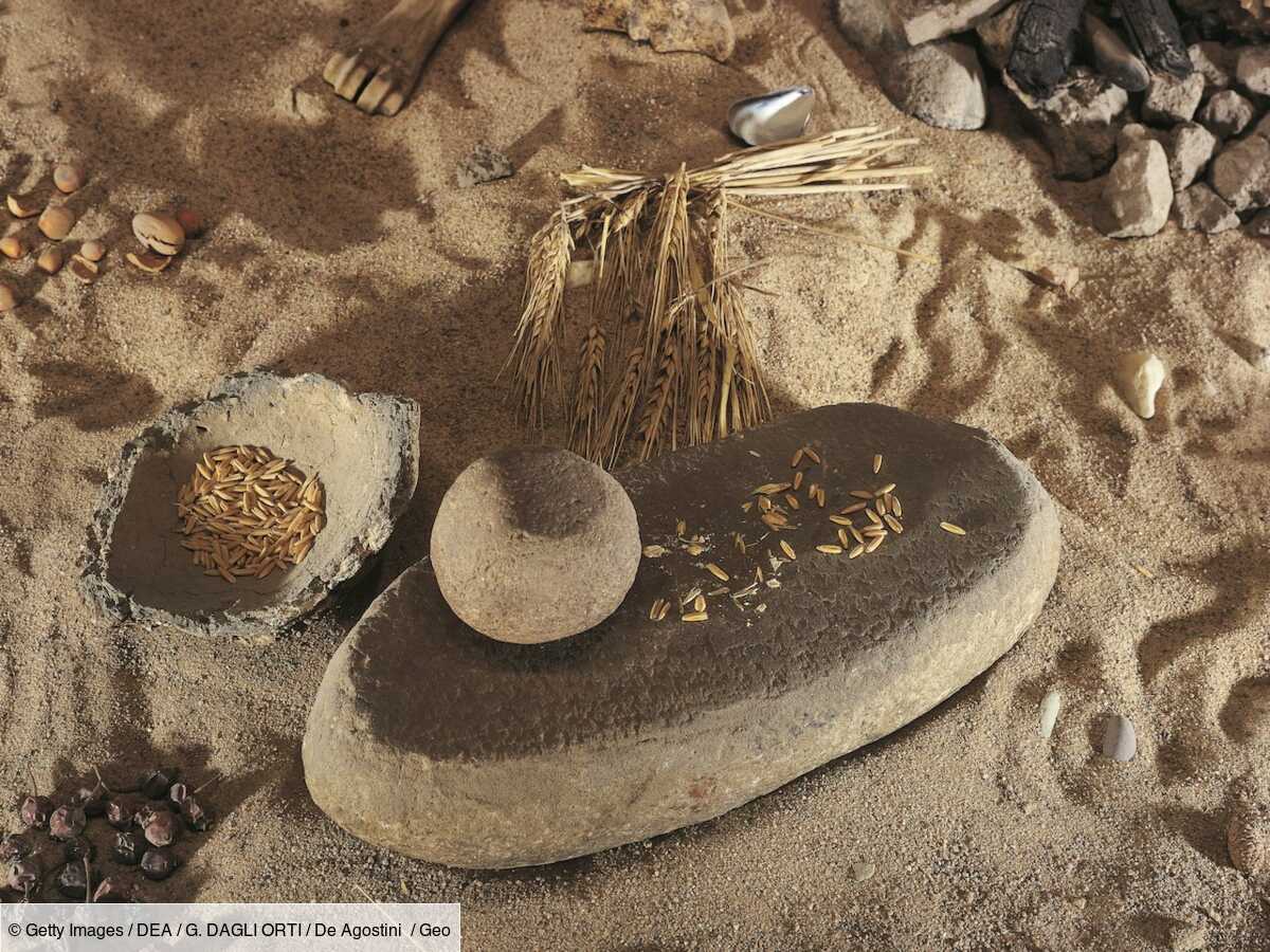 les hommes préhistoriques se délectaient d'une recette de porridge restée secrète durant 5 000 ans
