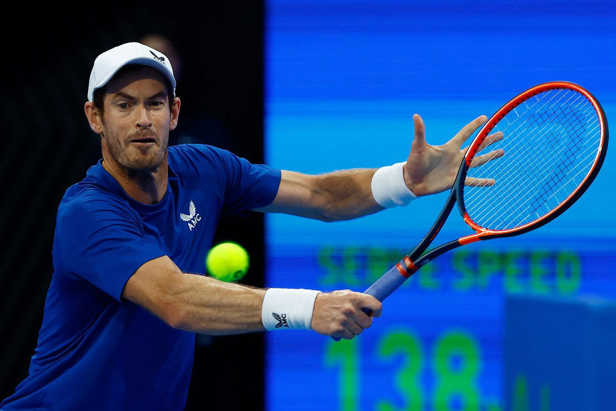 Andy Murray offers shock retirement hint after battling win over Denis ...