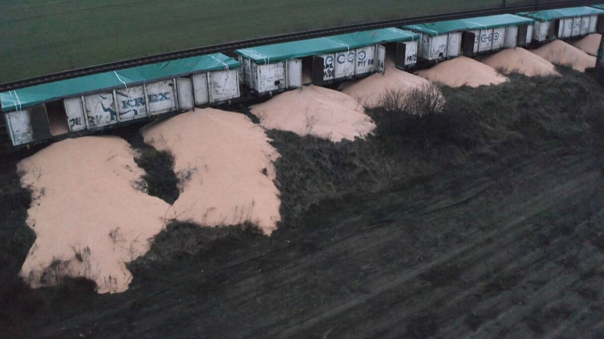 Selon le gouvernement ukrainien, des agriculteurs polonais ont saboté une cargaison de céréales en provenance de leur pays, dans un contexte de colère des paysans face à la concurrence jugée déloyale des produits ukrainiens.