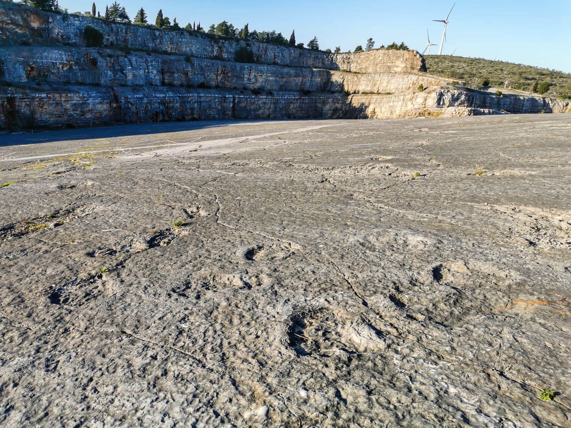 where-in-the-world-to-see-dinosaur-tracks