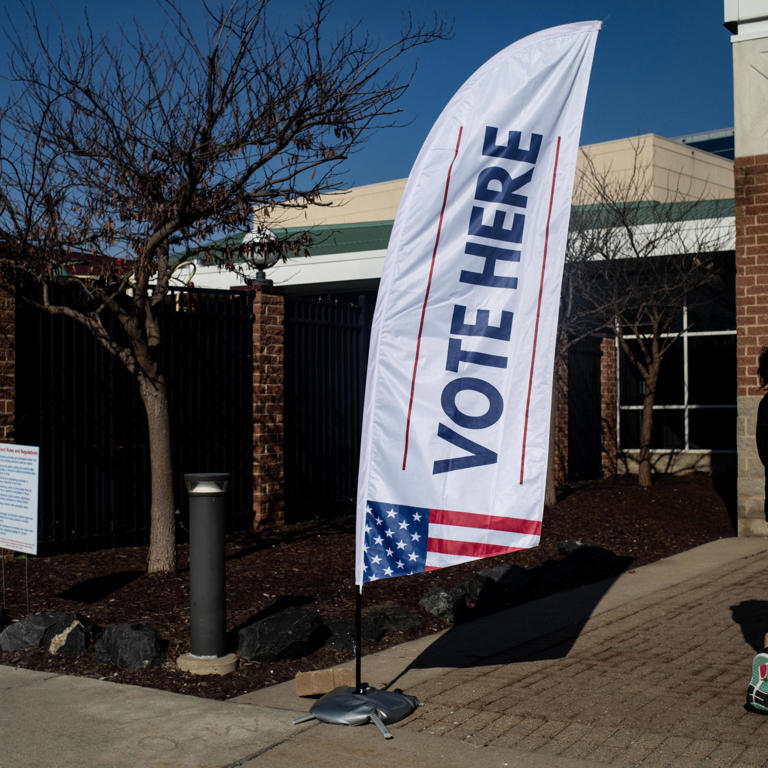 Michigan Voting Day 2024 Raina Elenore