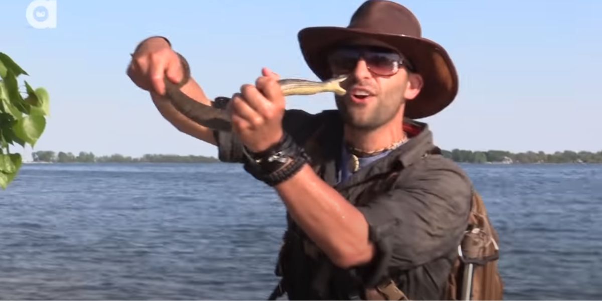 especialista em vida selvagem é mordido na ilha das cobras de ohio