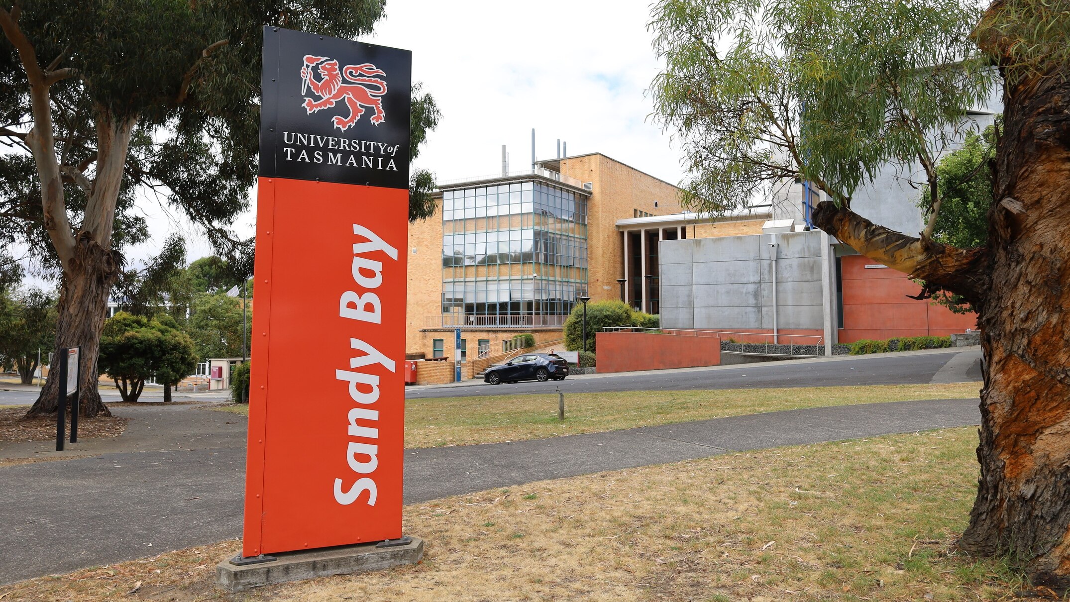 tasmanian liberals say they will try to keep university of tasmania at sandy bay campus if they win majority government