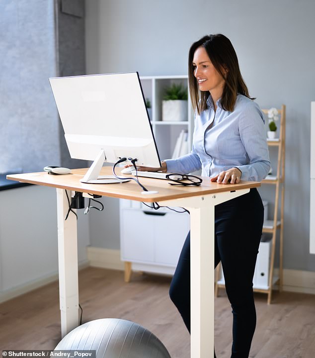 why trendy standing desks are a waste of time: top expert claims our spines 'won't be damaged by a bit of sitting down'