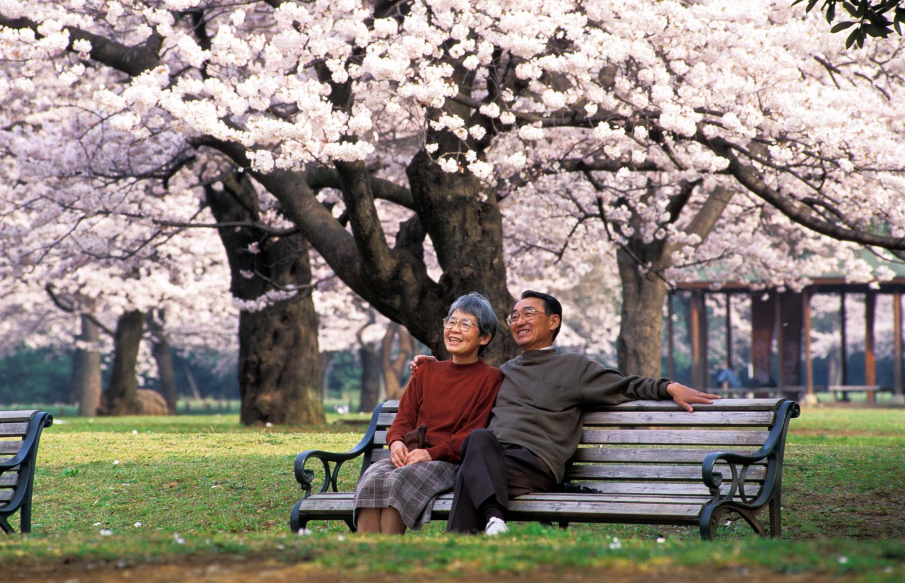 <p>Life expectancy in Japan is currently 85 years, up from 59.2 in 1950. The figure is set to reach 88.3 in 2050.</p>  <p>Japanese people tend to live long lives because rates of heart disease and cancer are relatively low. This is mainly due to the nation's extremely low obesity rate and traditional diet, which eschews red meat for fish and is rich in plant-based foods. Unsurprisingly, Japan has the highest number of centenarians per capita and Okinawa, one of the original five Blue Zones, is located in the country.</p>
