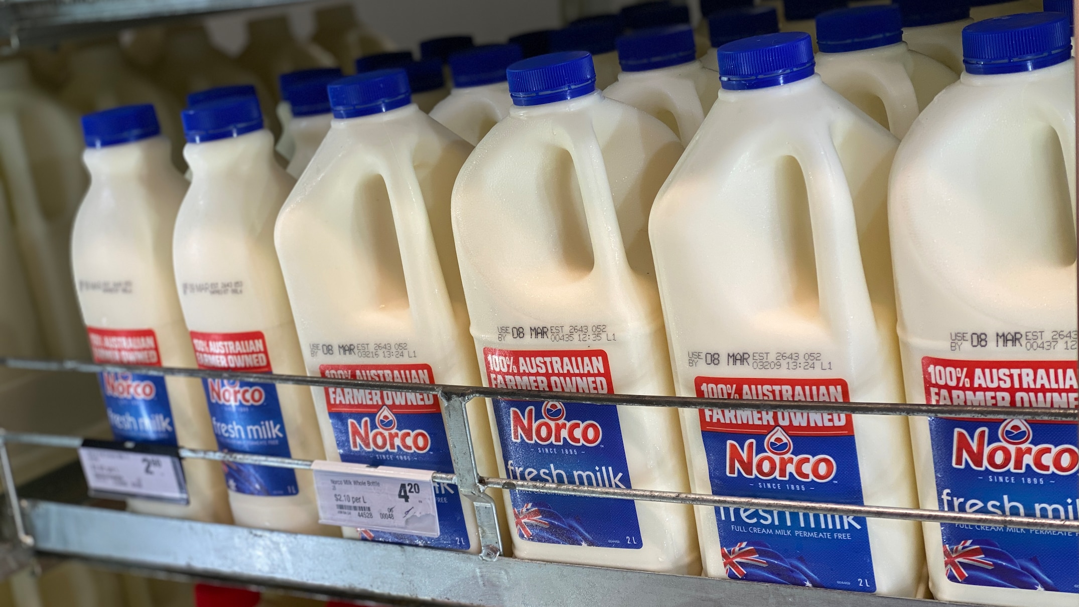 farmer anger after woolworths axes norco milk from all of its 150 stores in metropolitan sydney