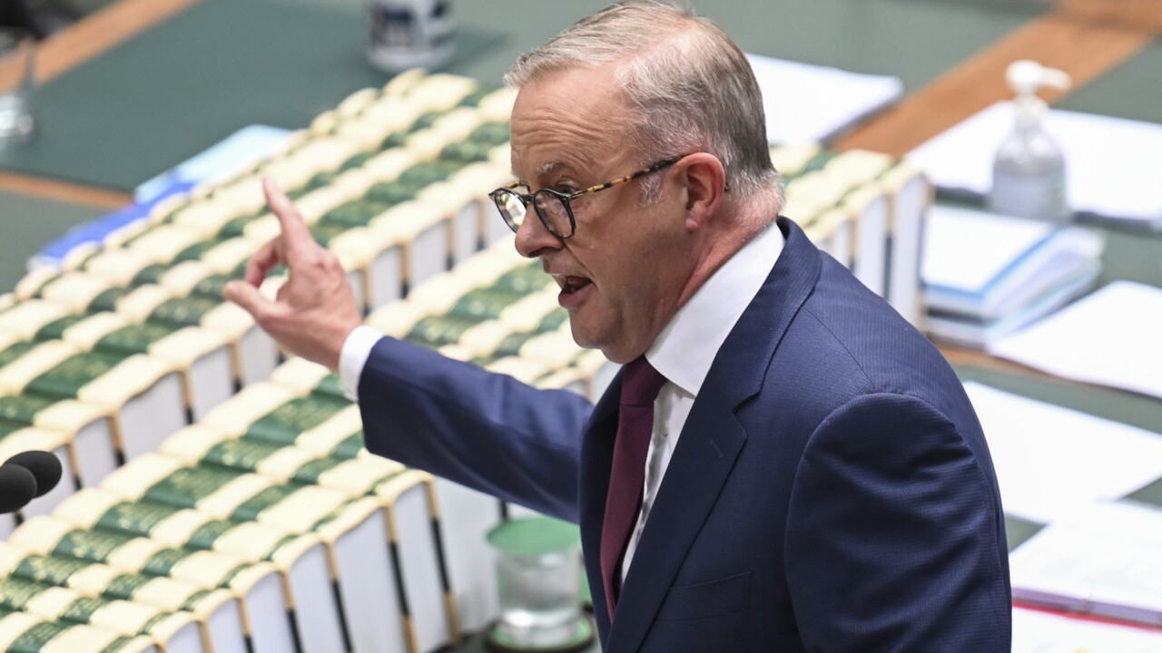 greens senator ‘knows nothing about how the rba functions’: anthony albanese
