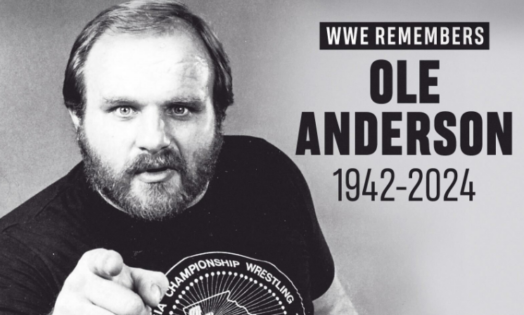 Who Was Ole Anderson? Here’s All You Need To Know About The Former Four ...