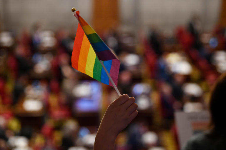 A young protester holds up a pride flag as Rep. Gino Bulso R- Brentwood, argues in favor of his bill during a House session at the State Capitol building in Nashville , Tenn., Monday, Feb. 26, 2024.