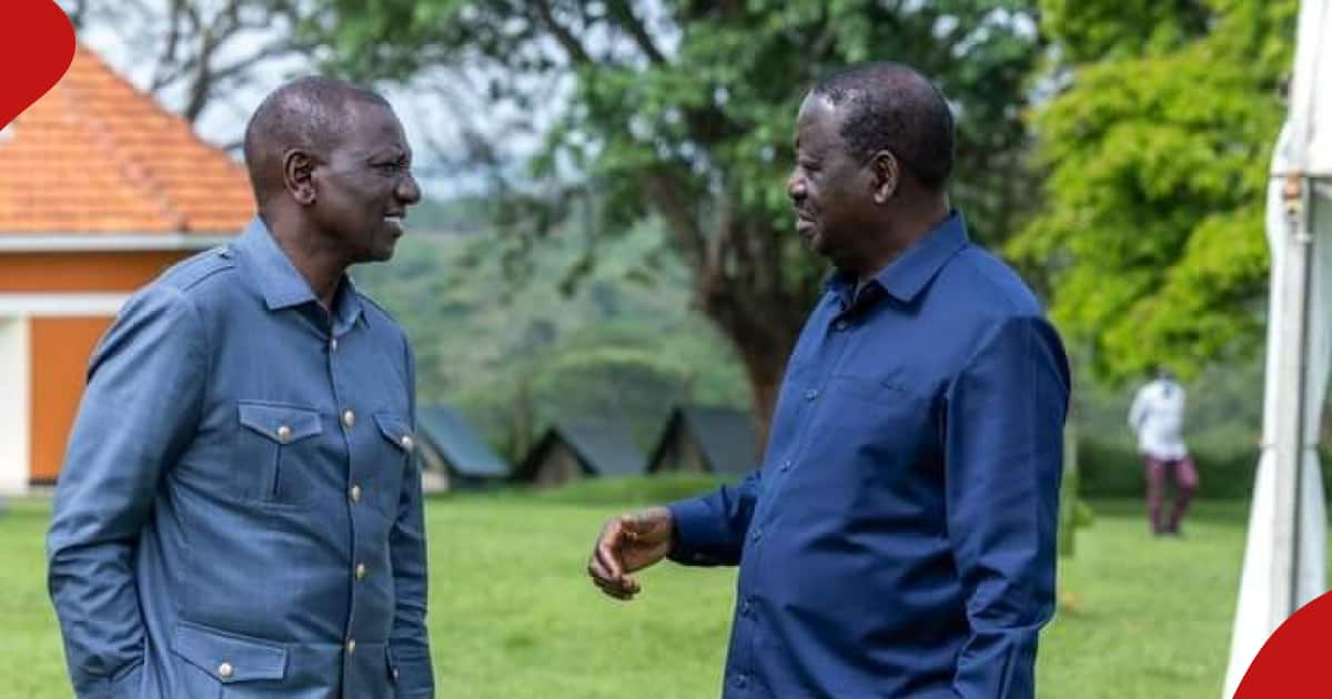 This Is Why William Ruto Met With Raila Odinga In Uganda