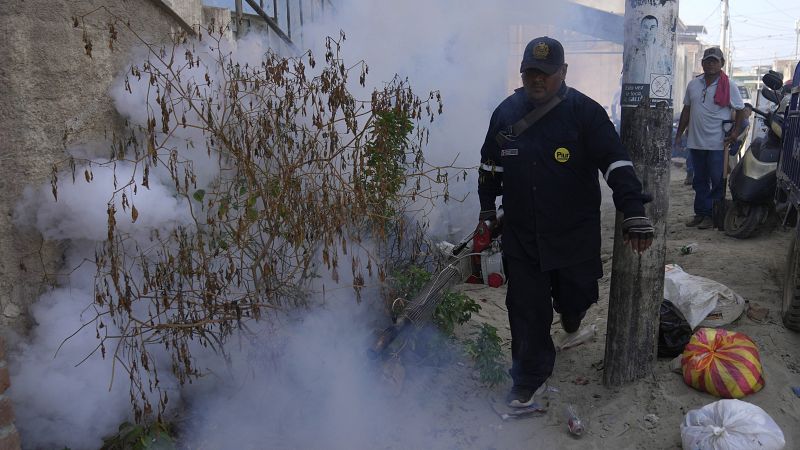 peru has declared a health emergency in most of its provinces as dengue cases soar