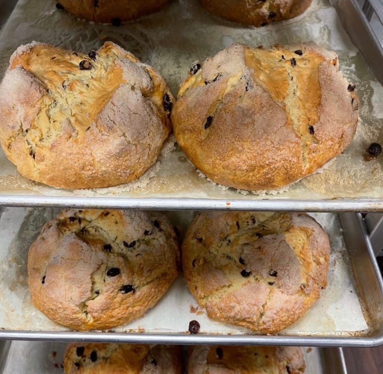 for st. patrick's day, these jersey shore bakeries are making irish soda bread
