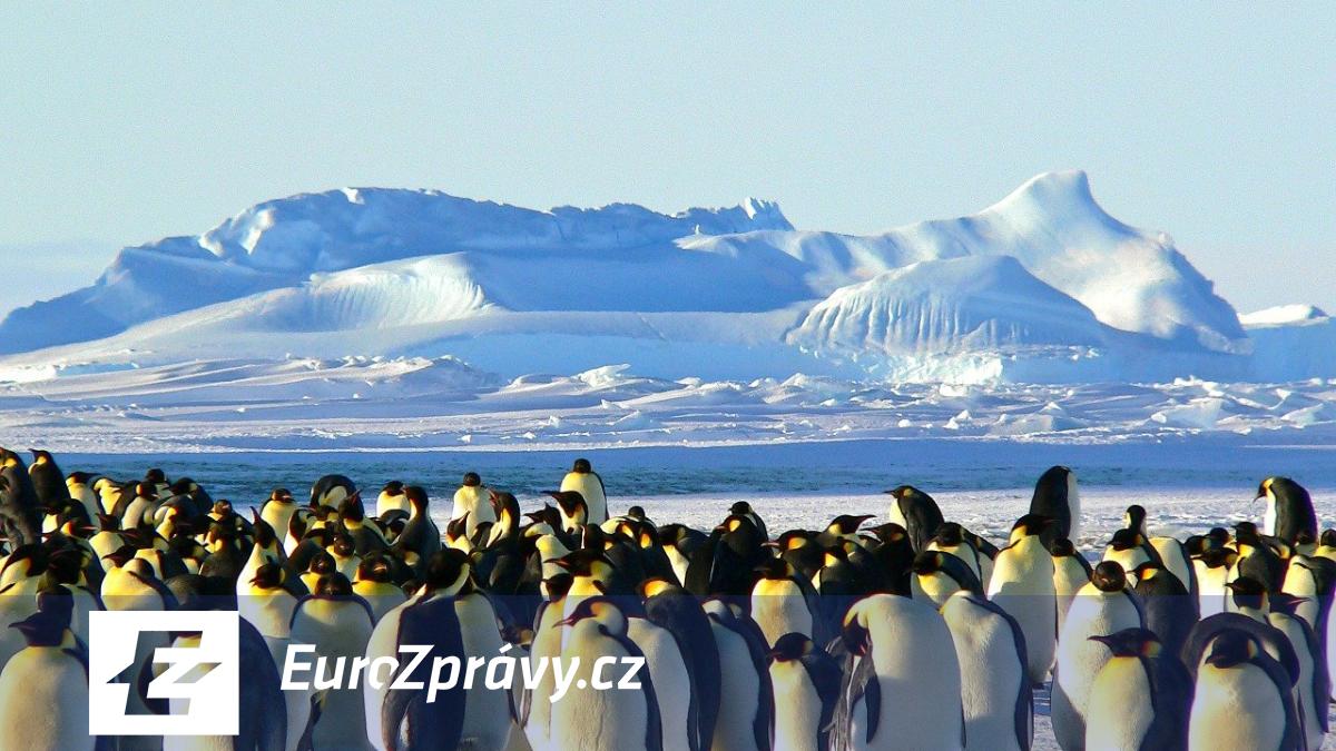 rázné varování vědců: pokud nezastavíme změny počasí, tučňáci vyhynou
