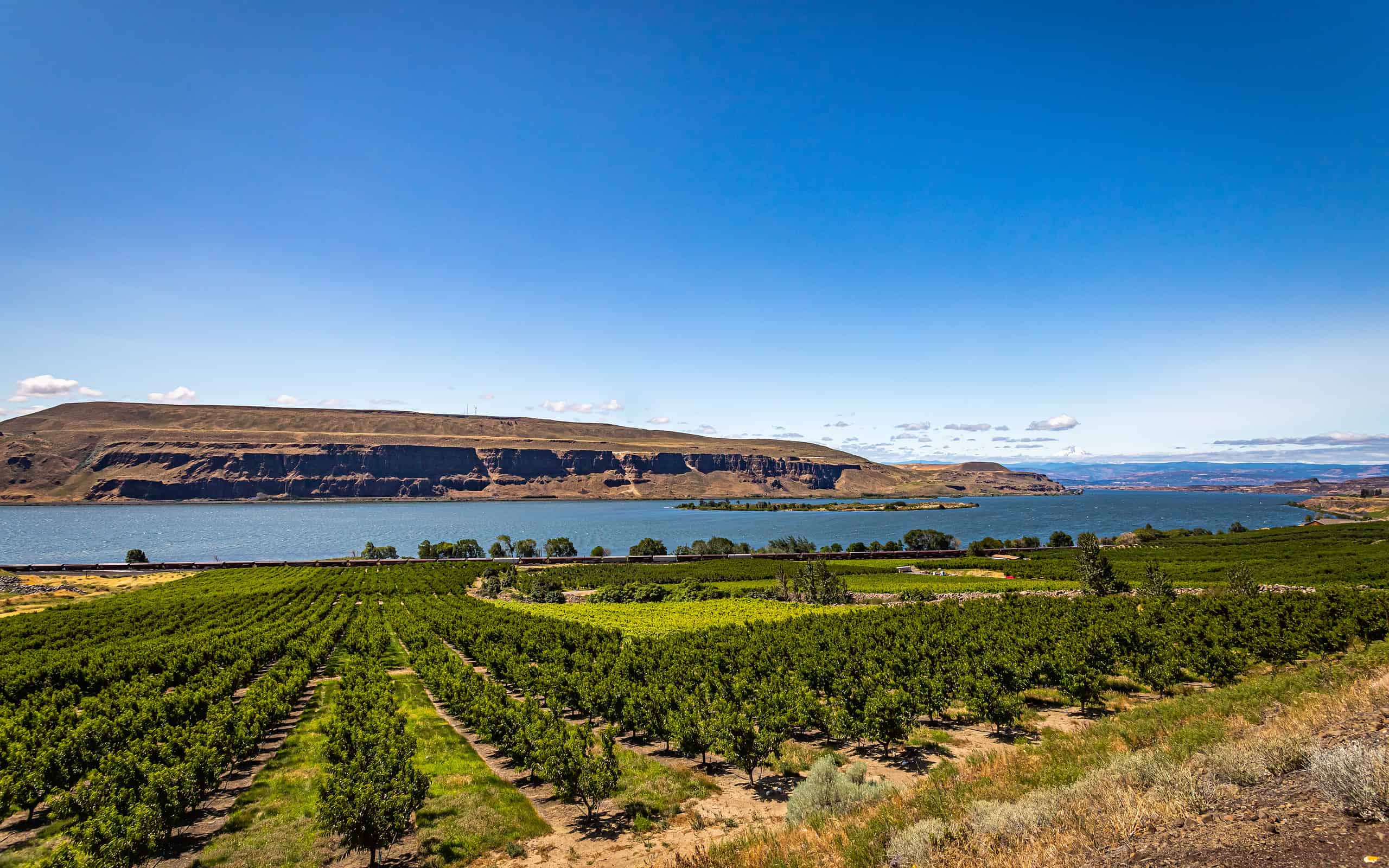 These Countries Grow the Most Apples in the World