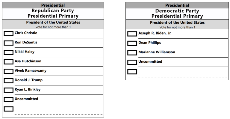 What's on the Michigan ballot for the 2024 primary?