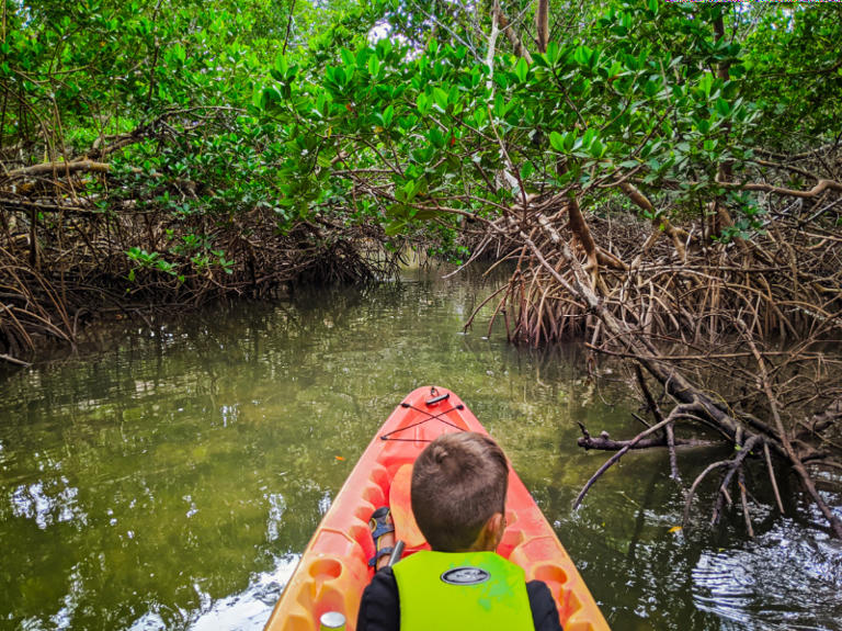 Kayaking in Florida State Parks and National Park waterways make a trip to the Sunshine State unforgettable. Top picks for the best spots to kayak in the Florida Keys, National Parks, the Gulf Coast and North Florida.